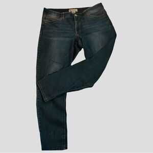 Democracy AB Technology Ankle Skinny Jeans